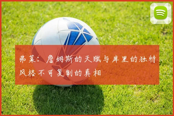弗莱：詹姆斯的天赋与库里的独特风格不可复制的真相