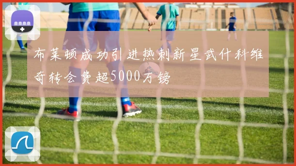 布莱顿成功引进热刺新星武什科维奇转会费超5000万镑