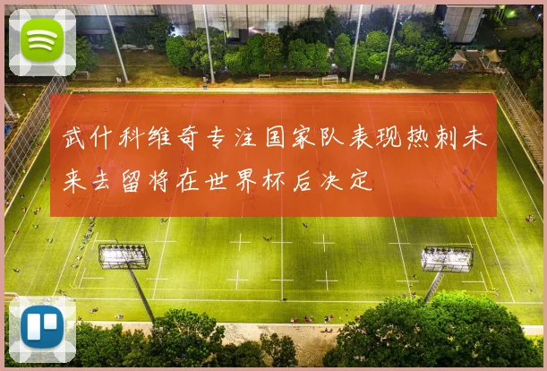 武什科维奇专注国家队表现热刺未来去留将在世界杯后决定