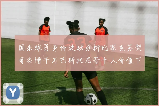 国米球员身价波动分析比塞克苏契奇各增千万巴斯托尼等十人价值下滑